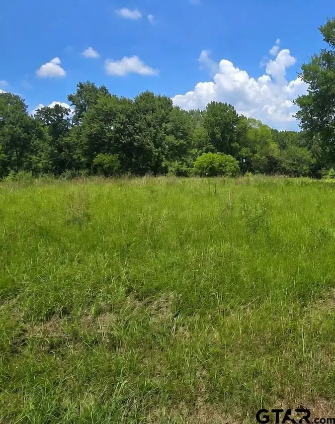 854 Red Bud Circle, Bullard, TX 75757 - #3