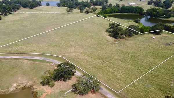 TBD Cr 3330 ( Tract 3 ), Naples, TX 75568