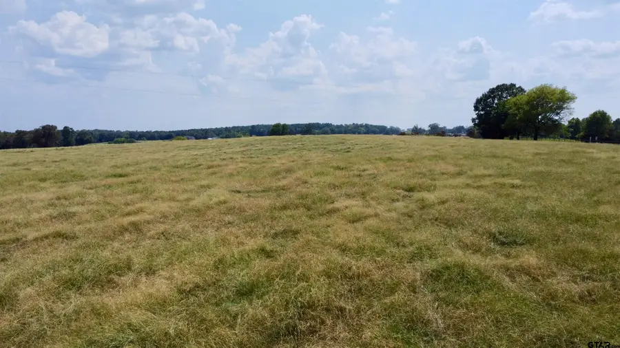 TBD Cr 3330 ( Tract 3 ), Naples, TX 75568 - #3