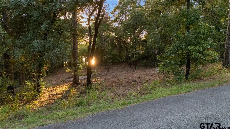 20722 Lakeview Dr., Flint, TX 75762 - #2