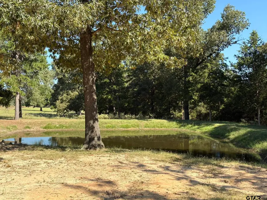 145 Private Road 7004, Frankston, TX 75763 - #3