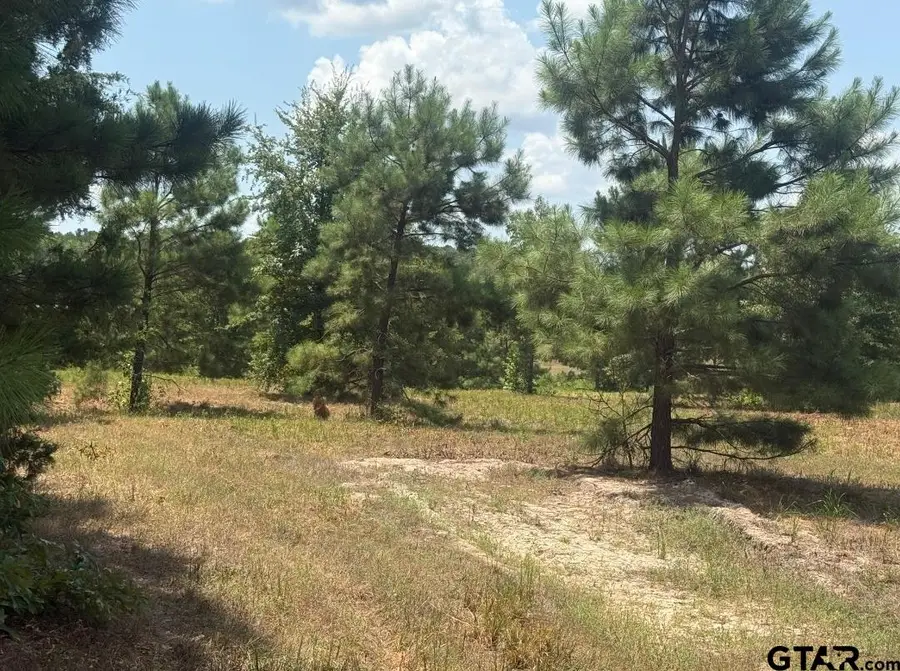 Cr 4104, Lindale, TX 75771 - #3