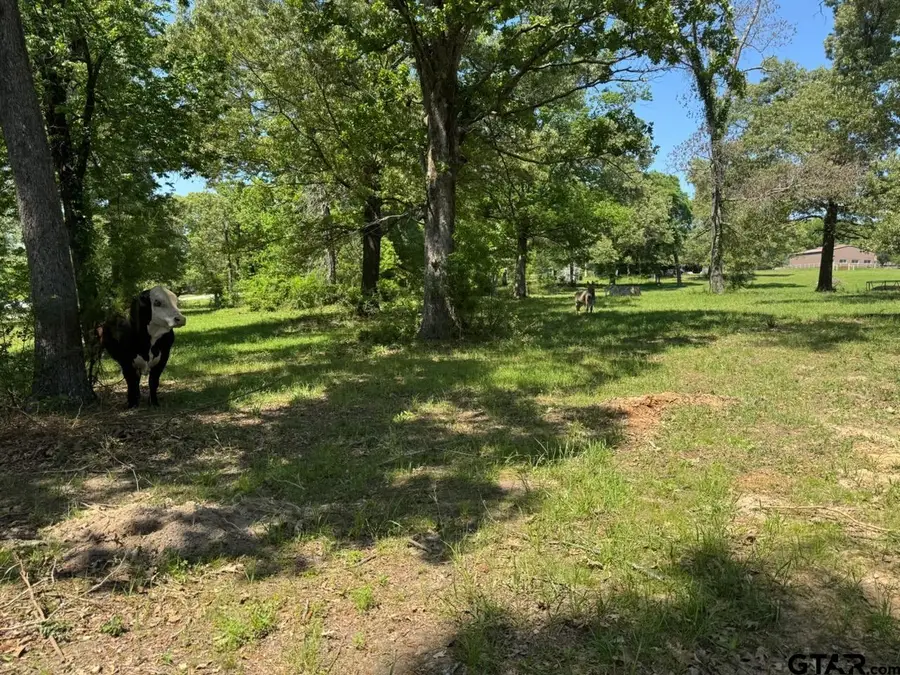 TBD Front Street, Arp, TX 75750 - #3