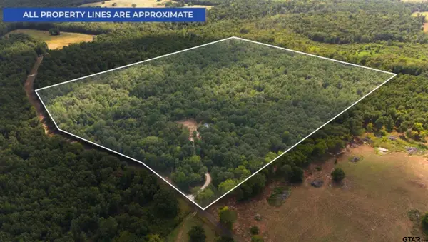 1651 Cr 4606, Troup, TX 75789