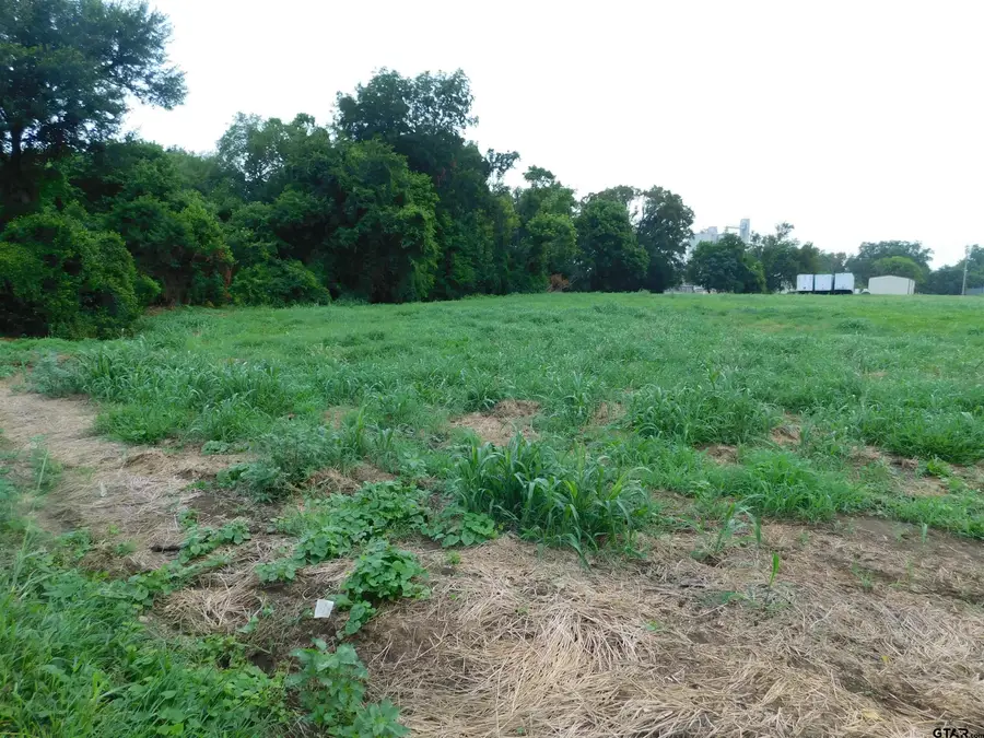 TBD Fulton, Pittsburg, TX 75686 - #2