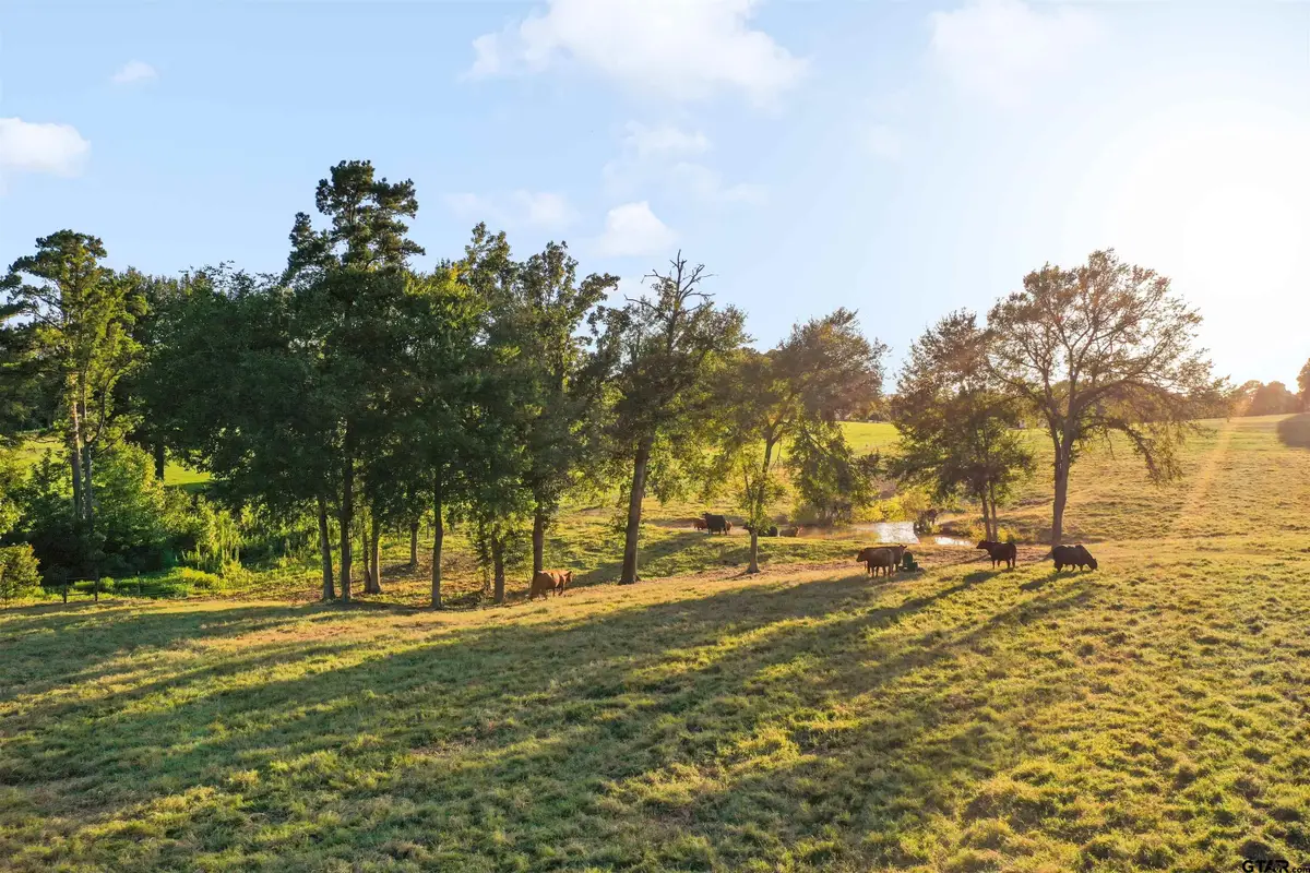 21618 Mixon Rd., Troup, TX 75789 - #1