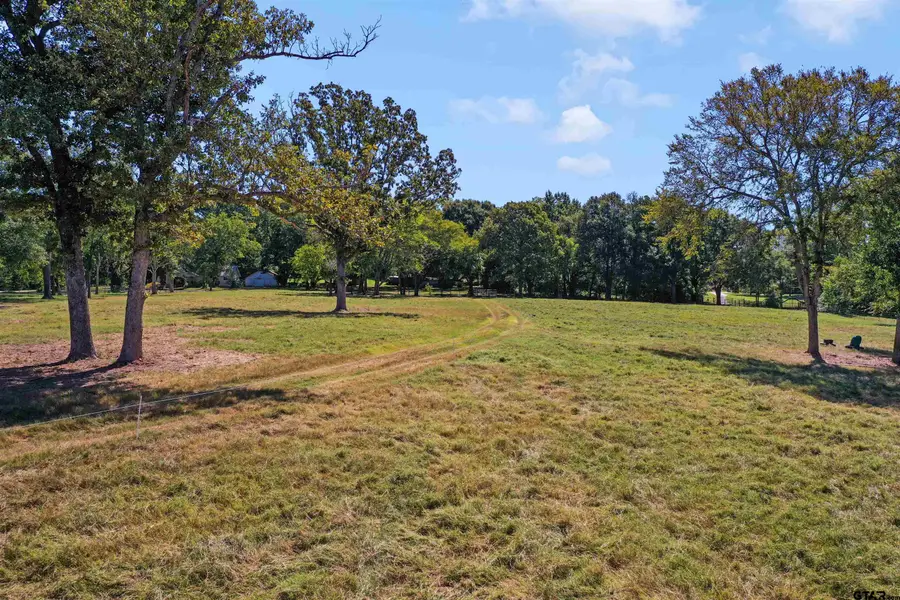 21618 Mixon Rd., Troup, TX 75789 - #2