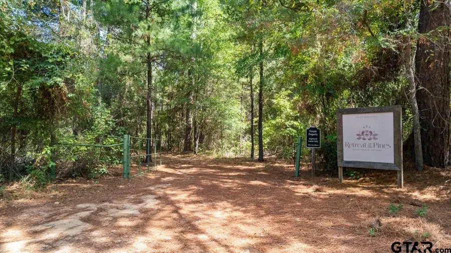 431 County Road 2487, Mineola, TX 75773 - #2