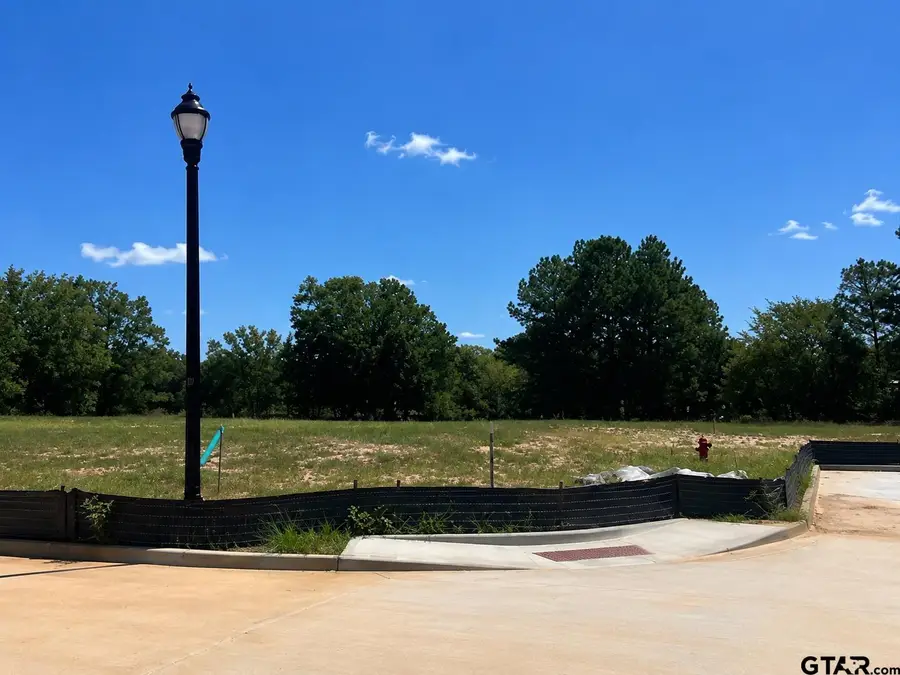 23 lots Pin Oak & Park Central, Chandler, TX 75758 - #3