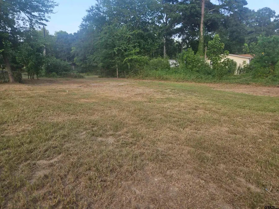 16924 Cr 1170, Flint, TX 75762 - #3