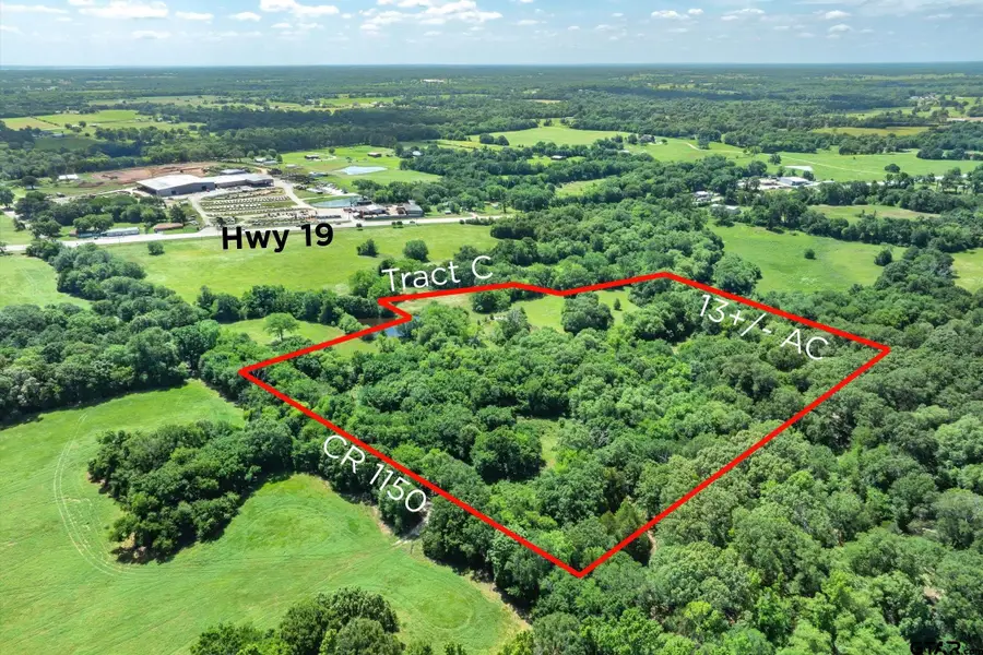 Tract C Rs Cr 1150, Emory, TX 75440 - #2