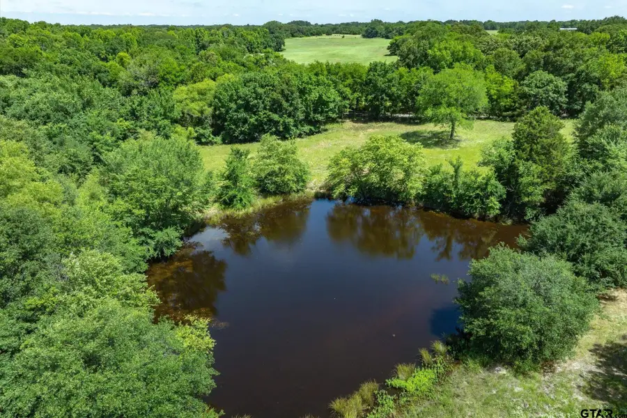 Tract C Rs Cr 1150, Emory, TX 75440 - #3