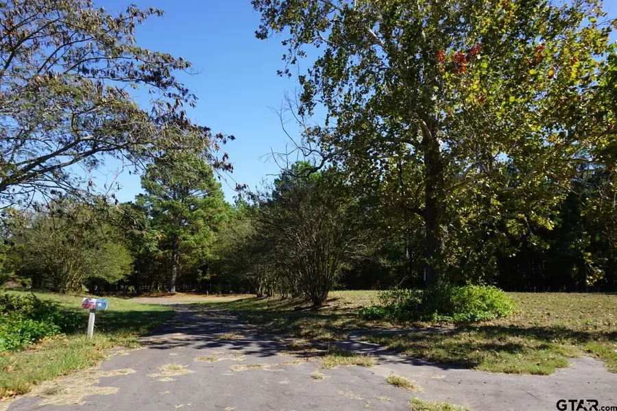 4301 Plainview Rd, Naples, TX 75568 - #3