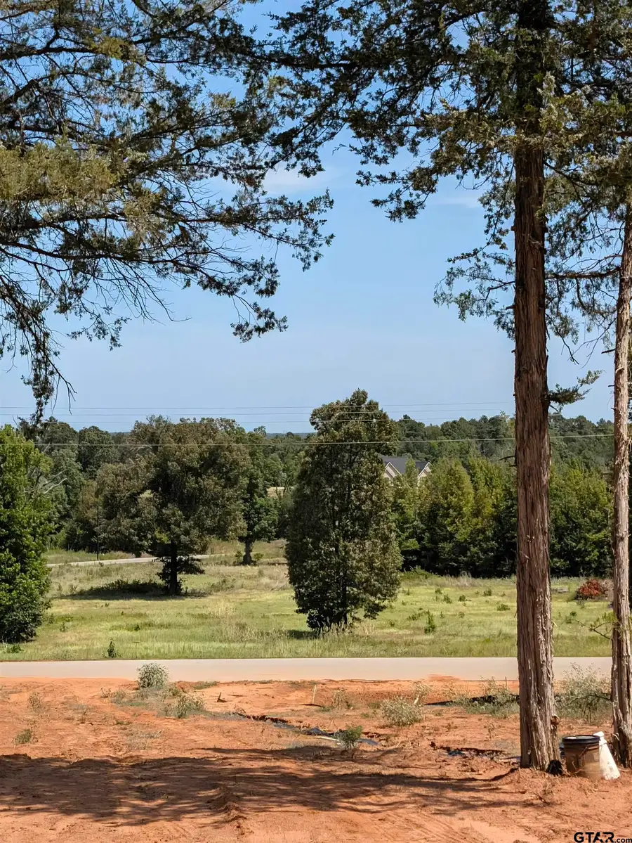 16416 Ridgeline Loop, Winona, TX 75792 - #2