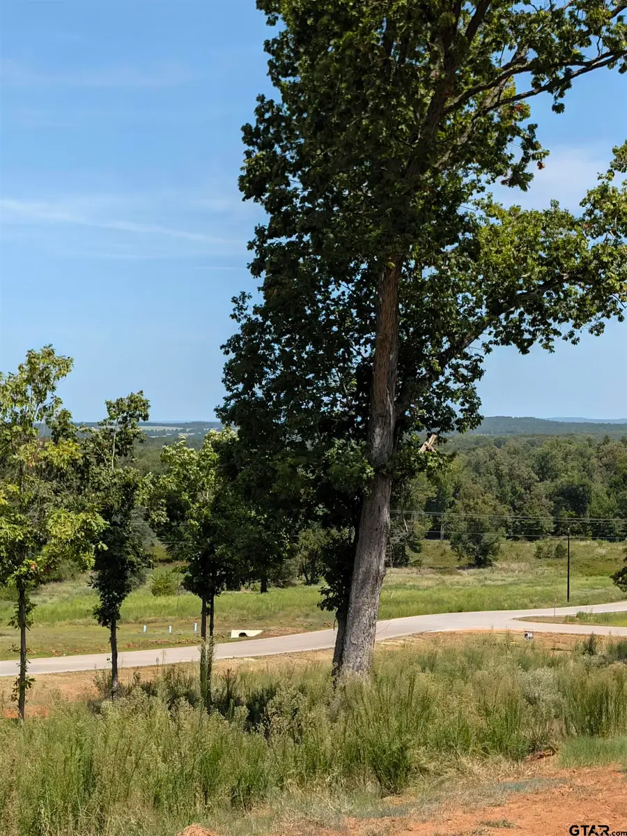16416 Ridgeline Loop, Winona, TX 75792 - #3