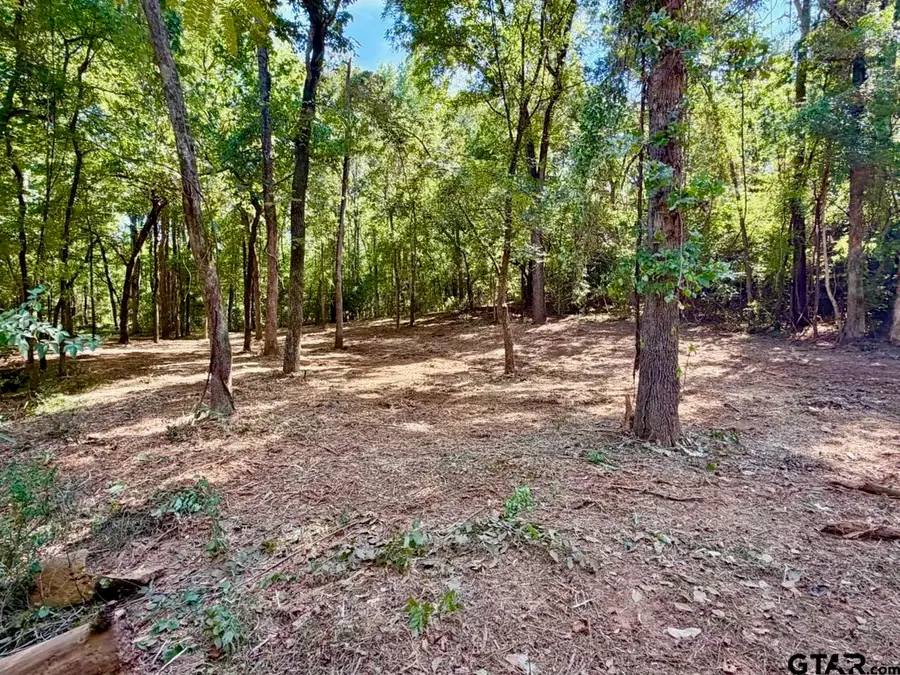 562 Brazos St., Bullard, TX 75757 - #3