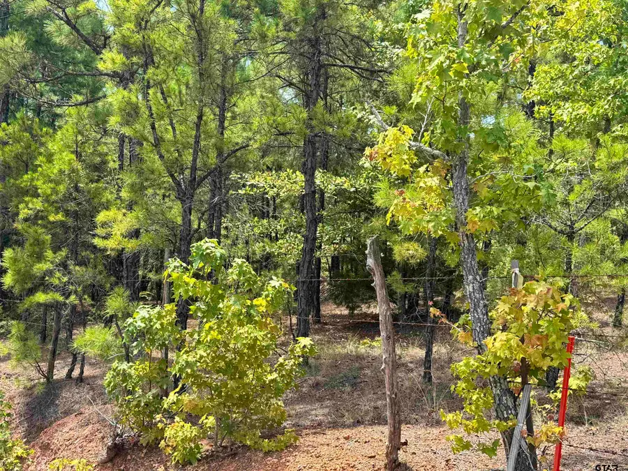 TBD Cr 222, Henderson, TX 75652 - #2