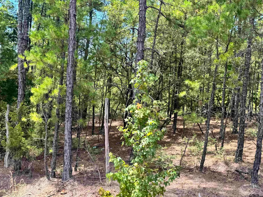 TBD Cr 222, Henderson, TX 75652 - #3