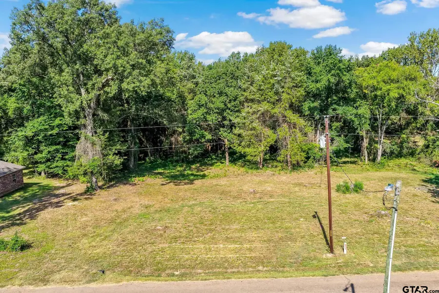 Lot 40 County Road 4231, Mount Pleasant, TX 75455 - #3
