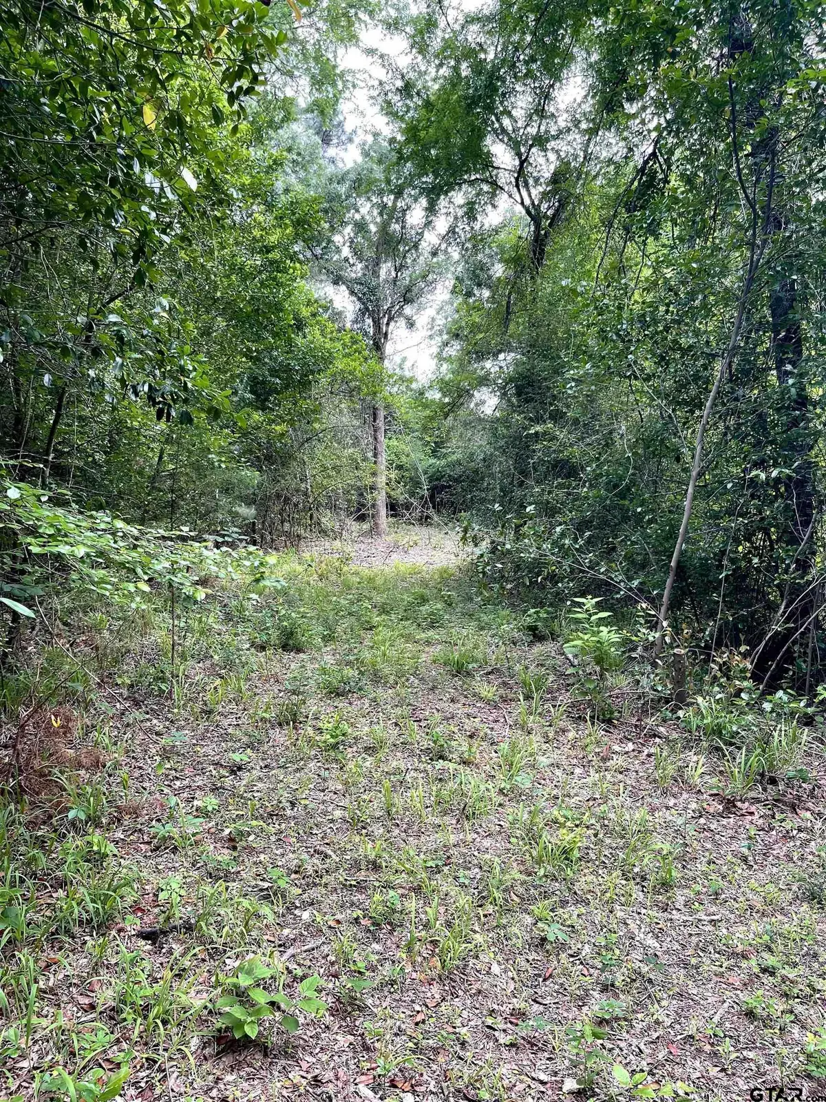 TBD County Road 1147, Tyler, TX 75704 - #1