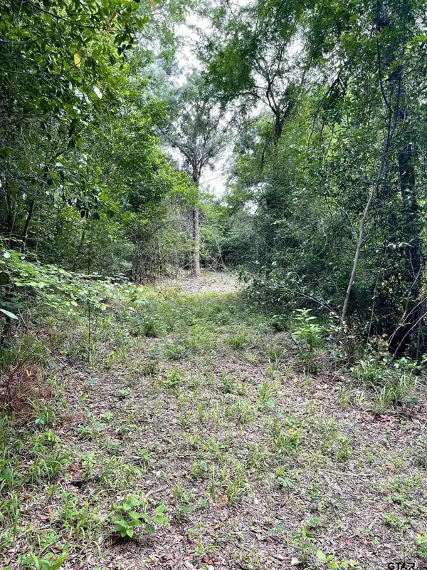 TBD County Road 1147, Tyler, TX 75704