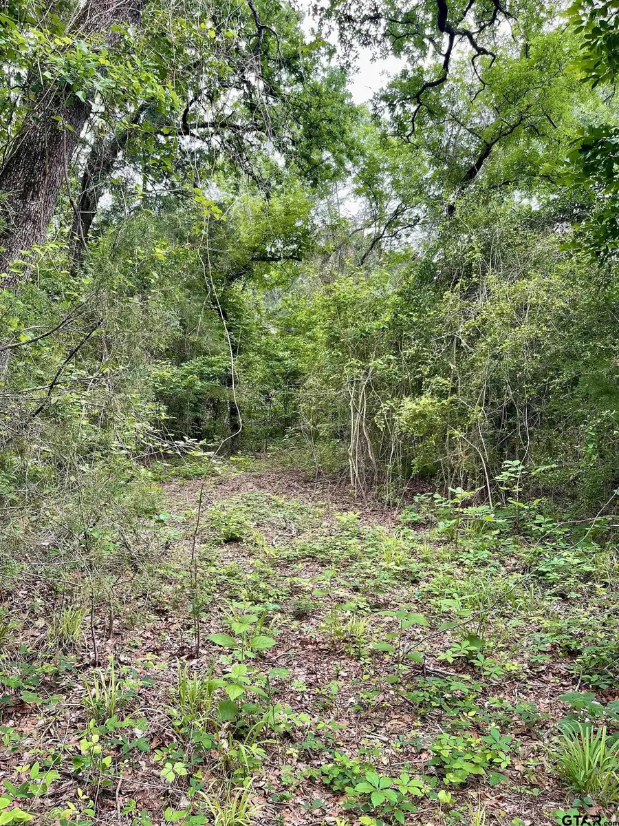 TBD County Road 1147, Tyler, TX 75704 - #3