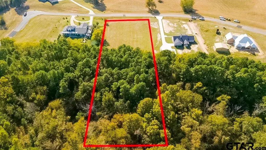 LOT 198 Lago Vista Dr, Athens, TX 75752 - #3