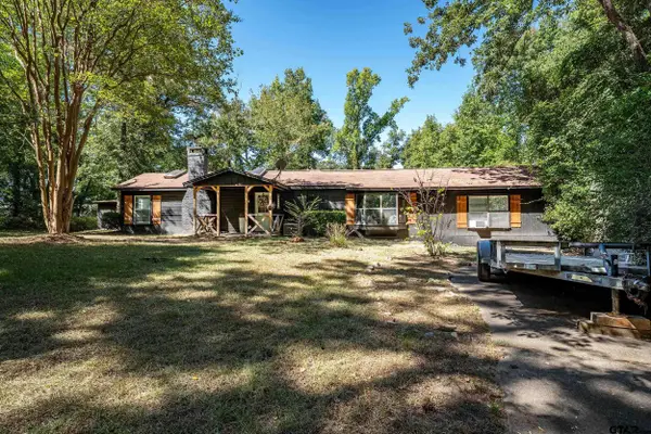 20616 E Grove Club Lake Rd, Whitehouse, TX 75791