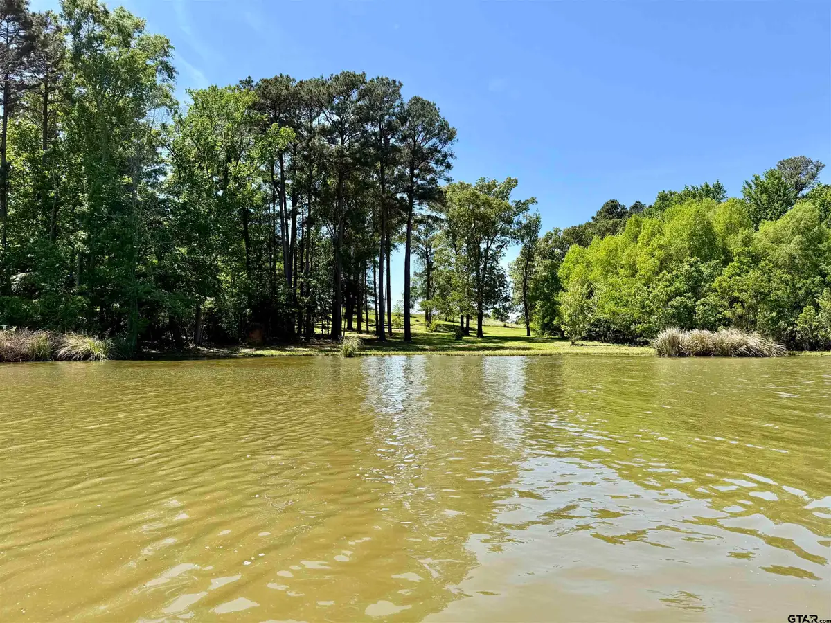 10196 Cr 3202, Chandler, TX 75758 - #1