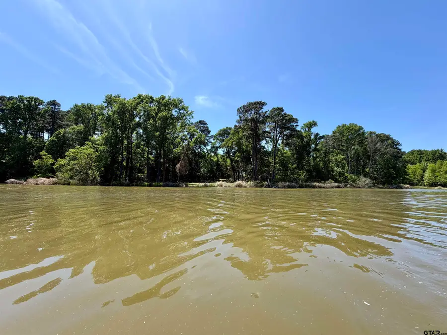 10196 Cr 3202, Chandler, TX 75758 - #3