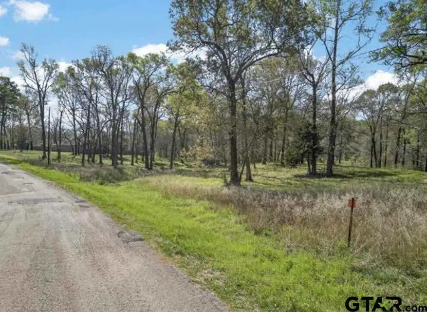 437 County Road 3608, Bullard, TX 75757 - #3