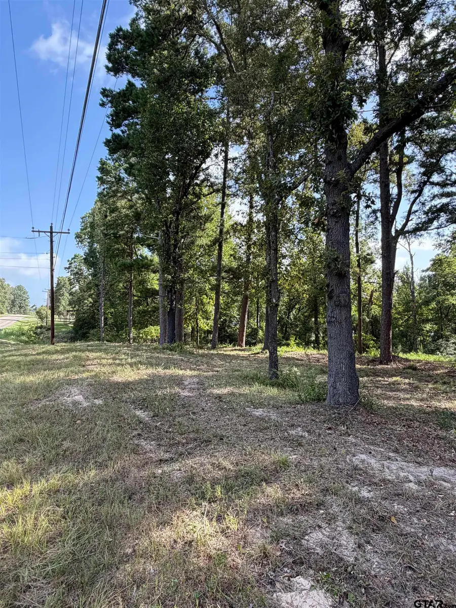 TBD Wilson Rd. (lot 41), Tyler, TX 75707 - #3