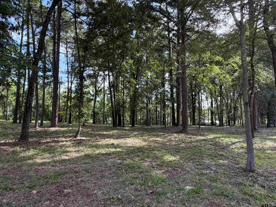 TBD Wilson Rd. (lot 42), Tyler, TX 75707 - #3