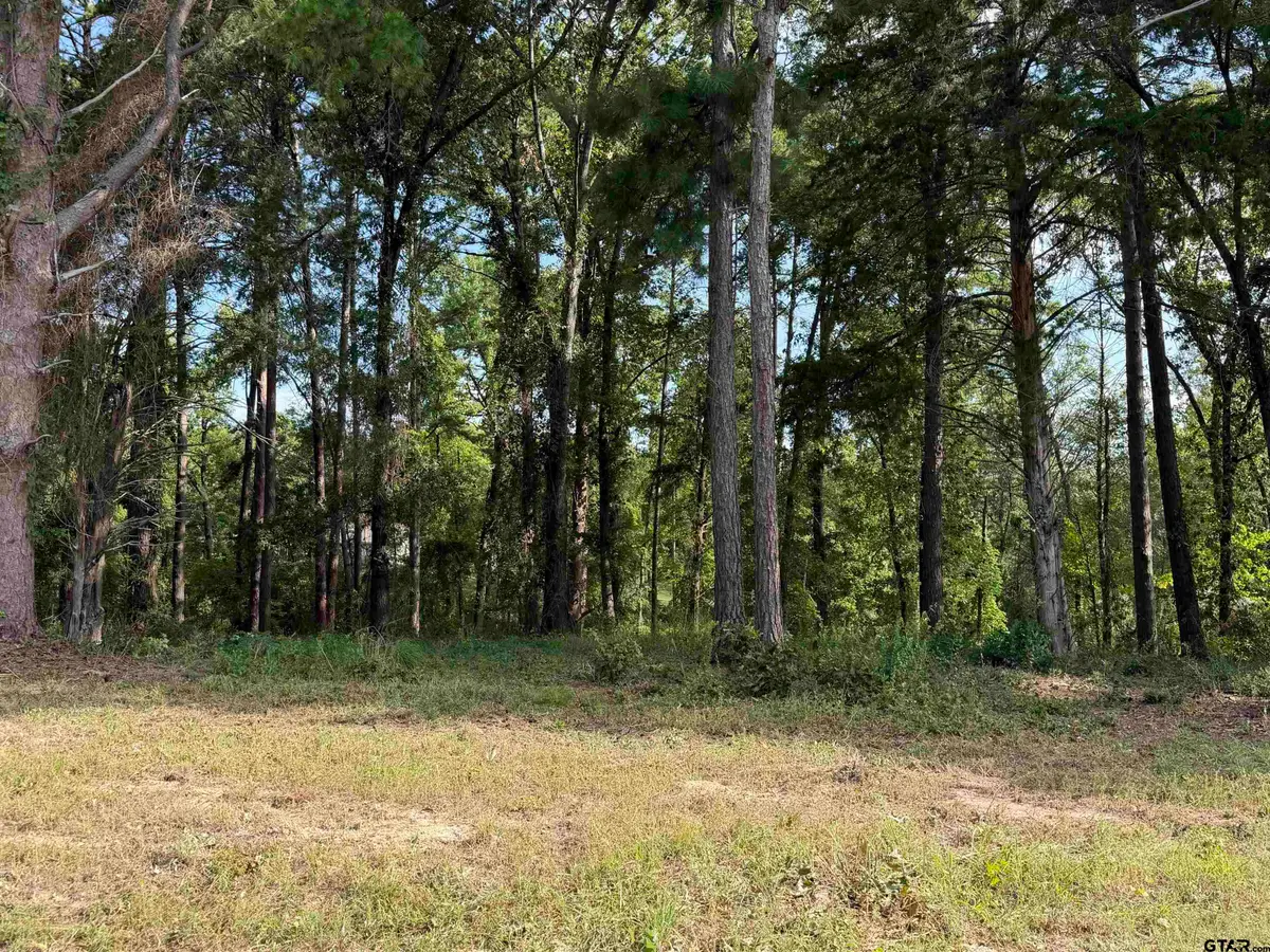 TBD Wilson Rd. (lot 43), Tyler, TX 75707 - #1