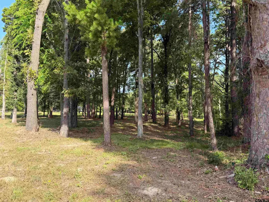 TBD Wilson Rd. (lot 43), Tyler, TX 75707 - #2