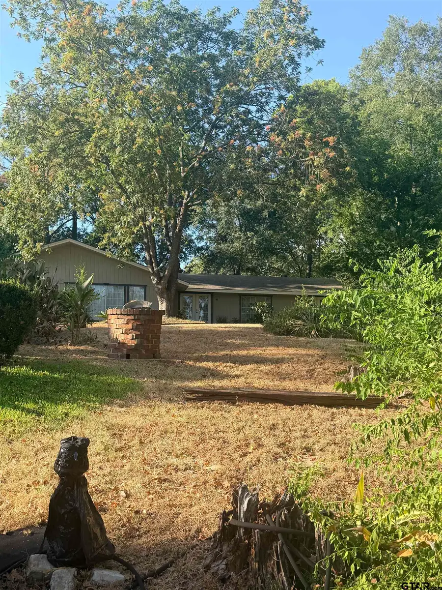 1715 Leisure Lane, Hideaway, TX 75771 - #3