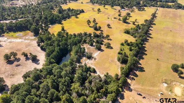 1000 An County Road 1208, Grapeland, TX 75844