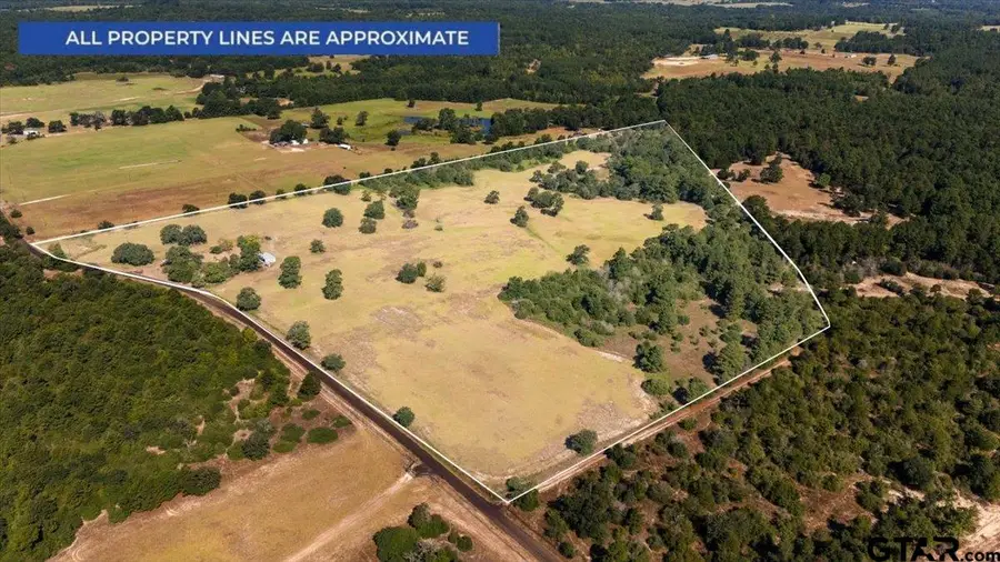 1000 An County Road 1208, Grapeland, TX 75844 - #3