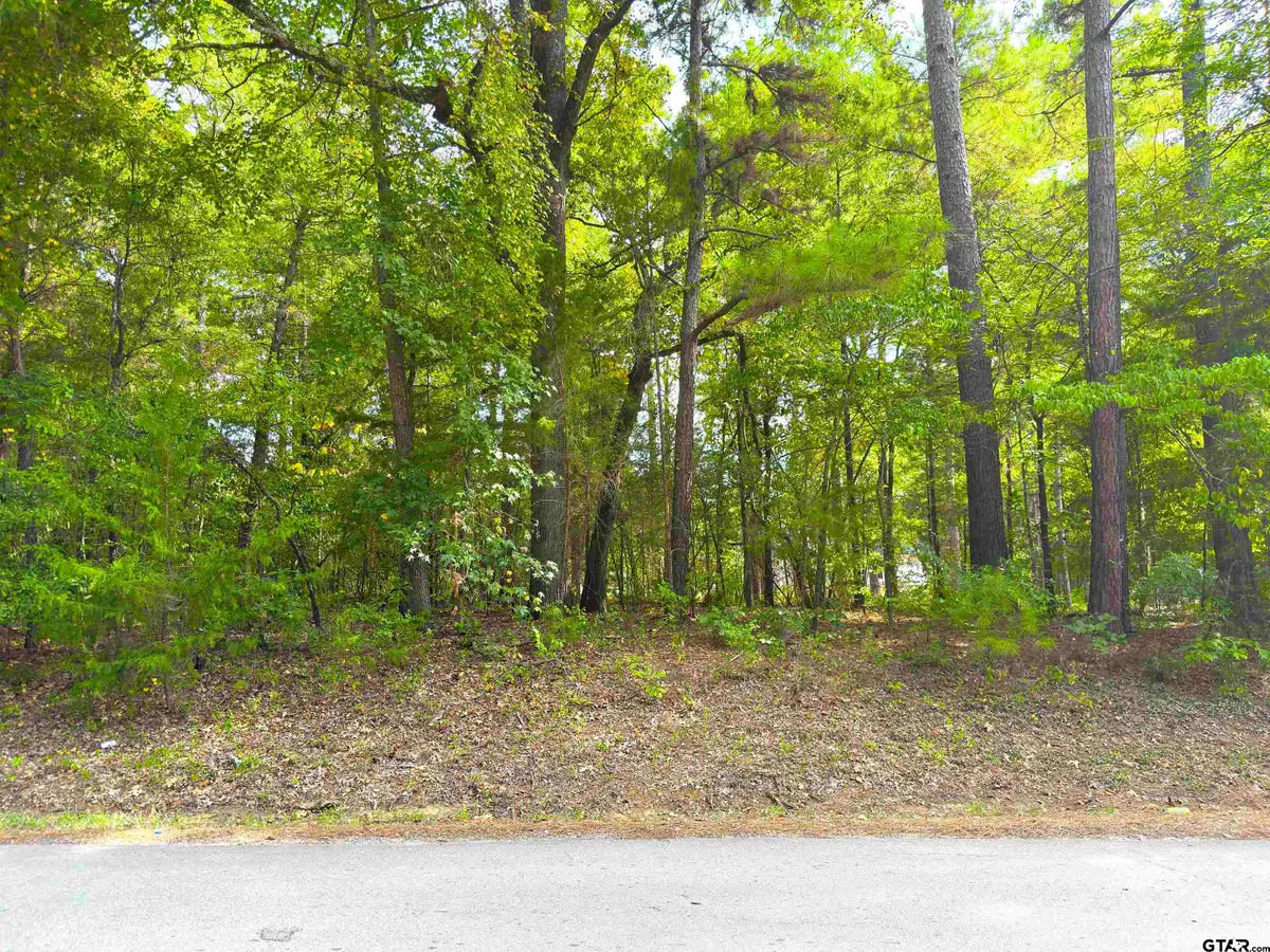 534 Caroline Lane, Bullard, TX 75757 - #1