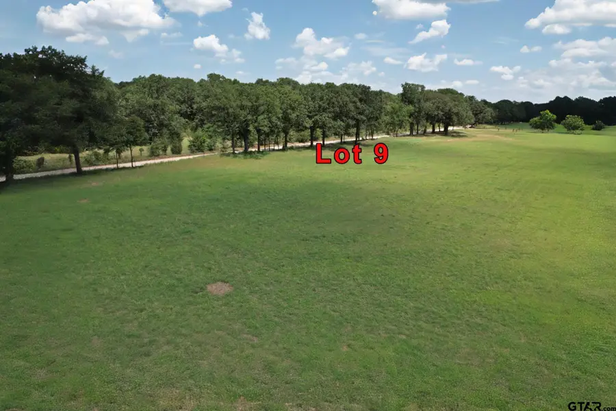 Lot 9 Vz Cr 3222, Wills Point, TX 75169 - #2