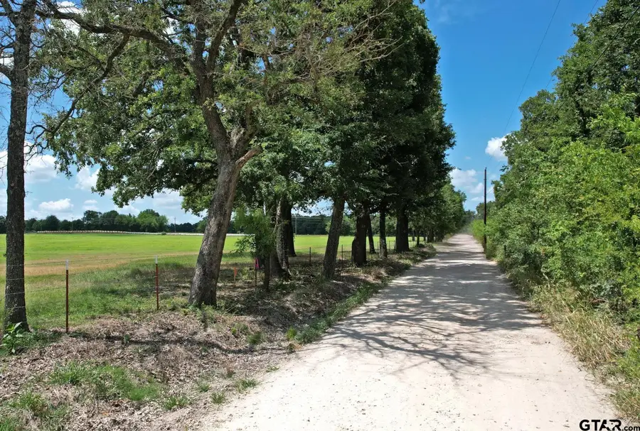 Lot 9 Vz Cr 3222, Wills Point, TX 75169 - #3