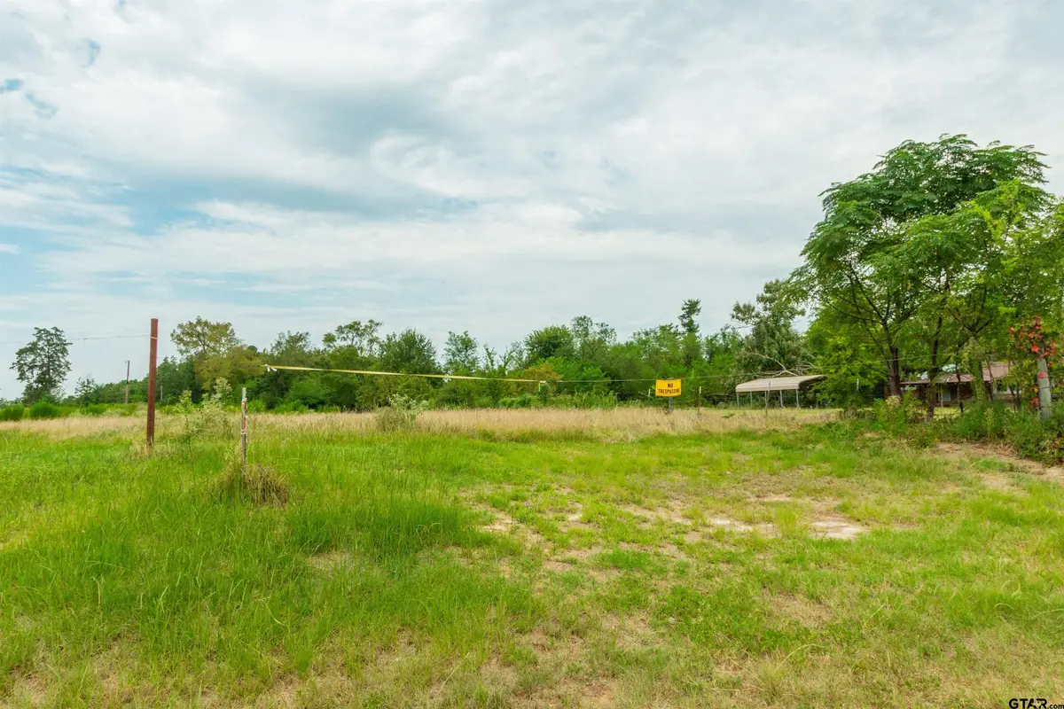 2450 Red Maple Rd, Big Sandy, TX 75755 - #1