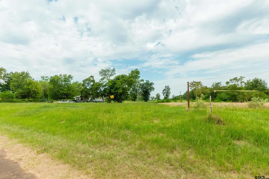 2450 Red Maple Rd, Big Sandy, TX 75755 - #2
