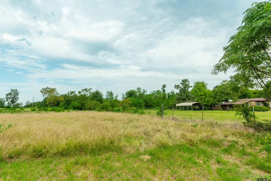 2450 Red Maple Rd, Big Sandy, TX 75755 - #3