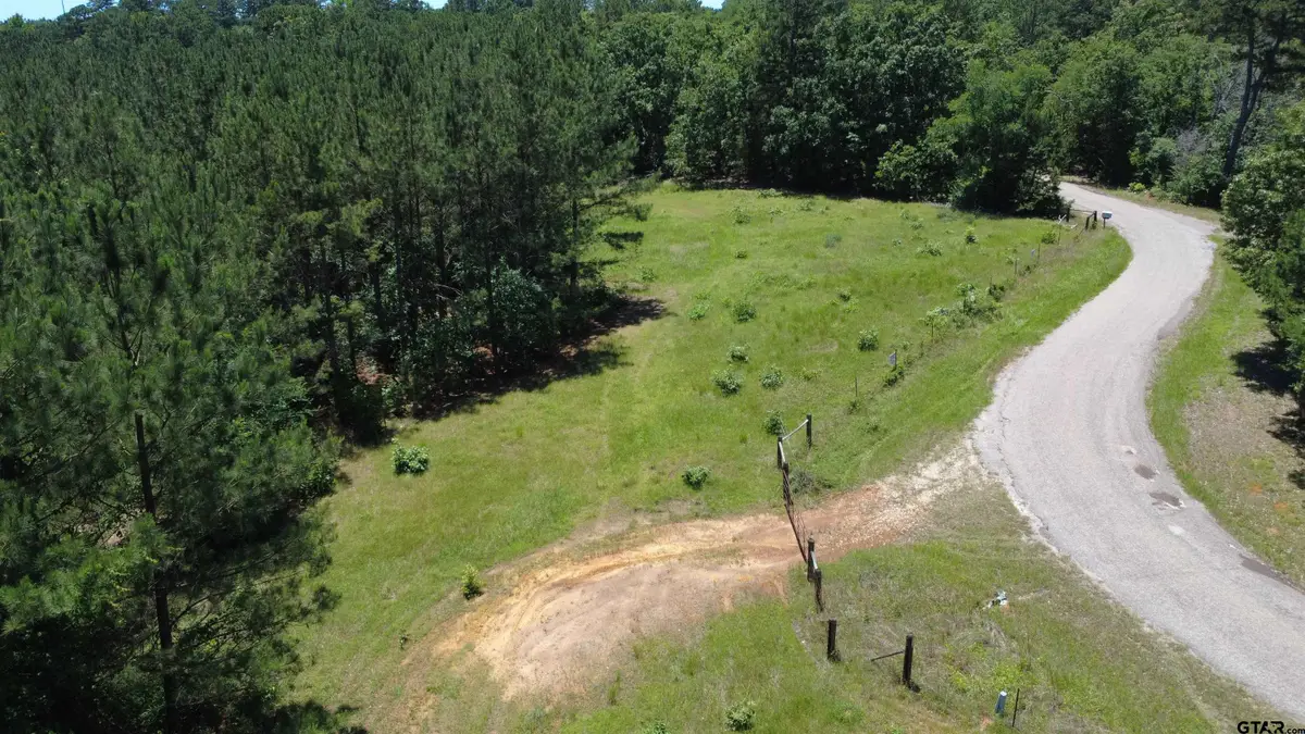 27.5 ac Cr 383, Palestine, TX 75801 - #1