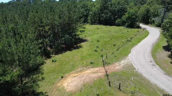 27.5 ac Cr 383, Palestine, TX 75801