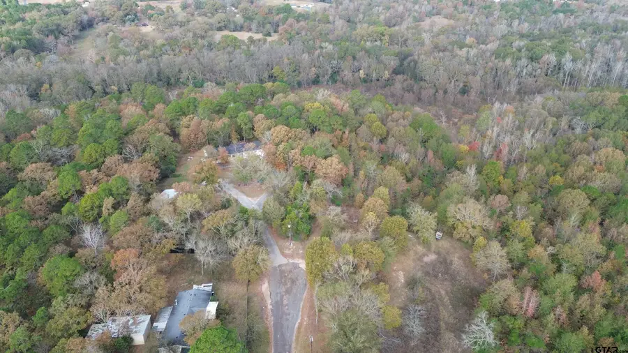 292 Sorrell Rd, Gilmer, TX 75645 - #2