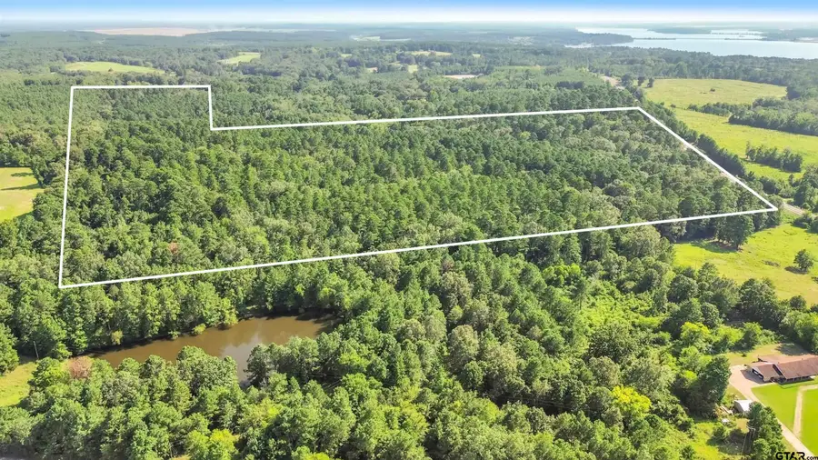 TBD 97+/- AC Fm 3231, Beckville, TX 75631 - #2