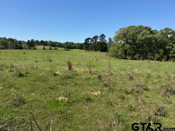 TBD 5 AC Fm 2685, Gilmer, TX 75645