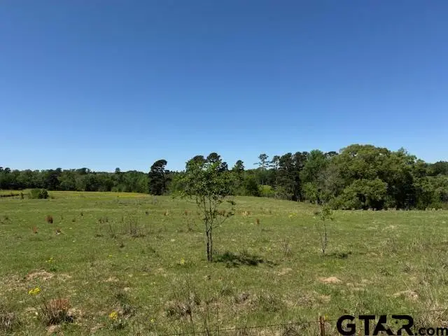 TBD 5 AC Fm 2685, Gilmer, TX 75645 - #2